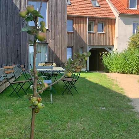 Stadtnest Malchow - Fuer 2-12 Personen In Der Inselstadt - Mecklenburgische Seenplatte